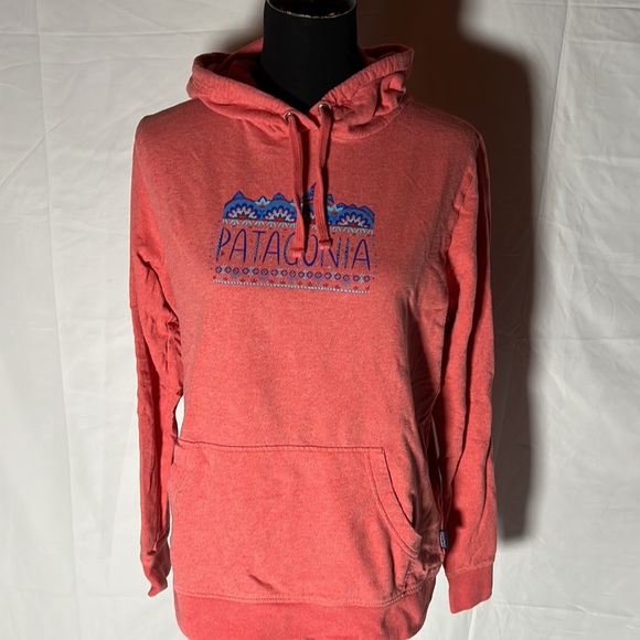 Patagonia Distressed Hoodie, Worn Wear, Women's size L - Picture 3 of 16